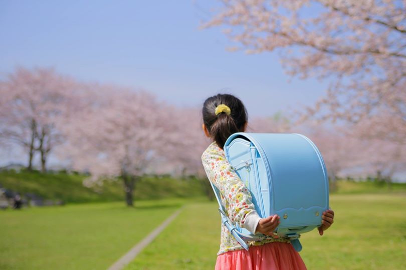 水色女子が増加!?　ランドセル購入