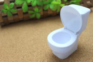 秘密の花園にはマナー違反がいっぱい!? 職場のトイレ事情